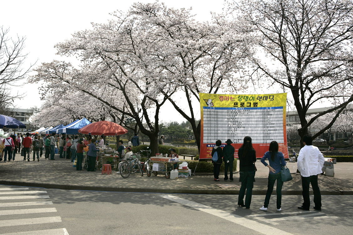 2008.04.00 캠퍼스 봄맞이 한마당